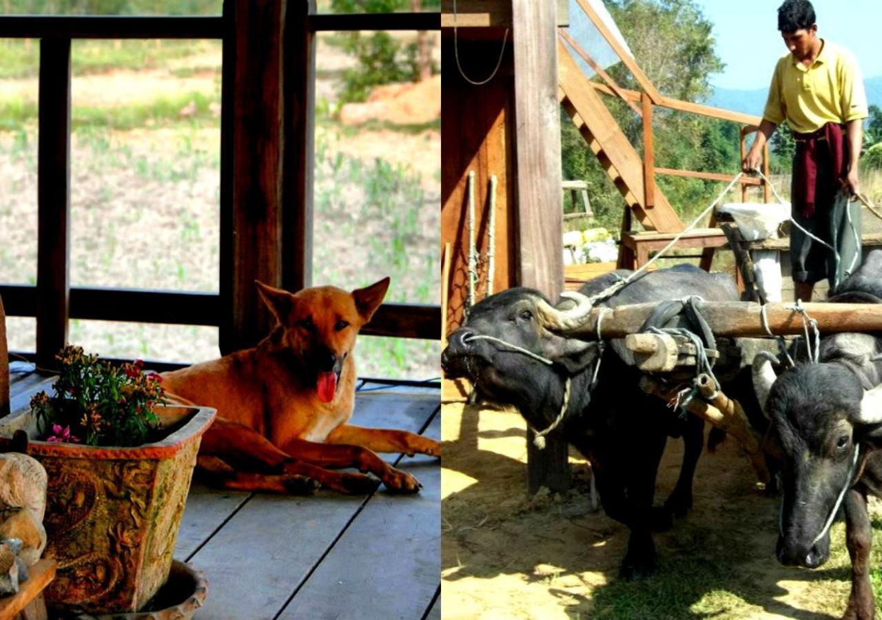 Shanta Ghar A Rustic Guesthouse Читван Екстериор снимка